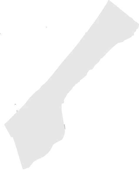 الوصول والتوزيع